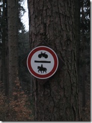 Schild