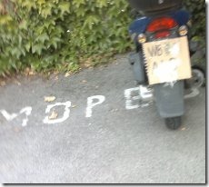 Bild1