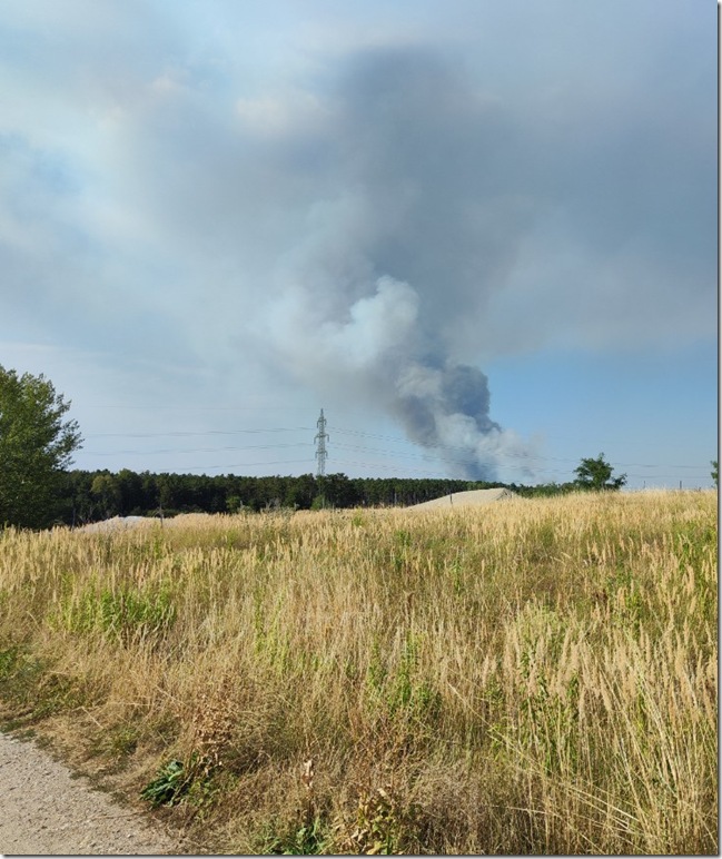 Rauchs&auml;ule Brand im F&ouml;hrenwald