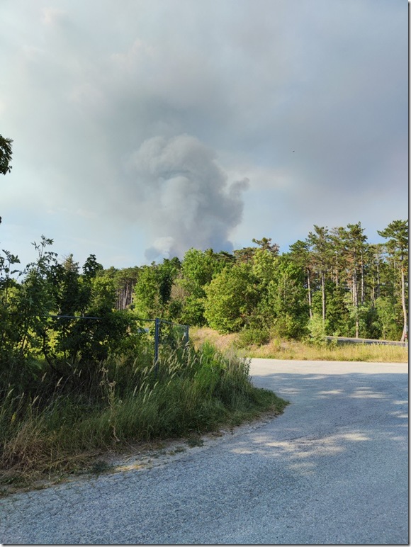 Rauchs&auml;ule Brand im F&ouml;hrenwald