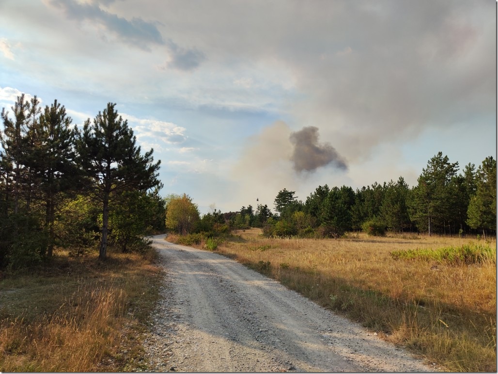 Rauchs&auml;ule Feldweg Brand im F&ouml;hrenwald